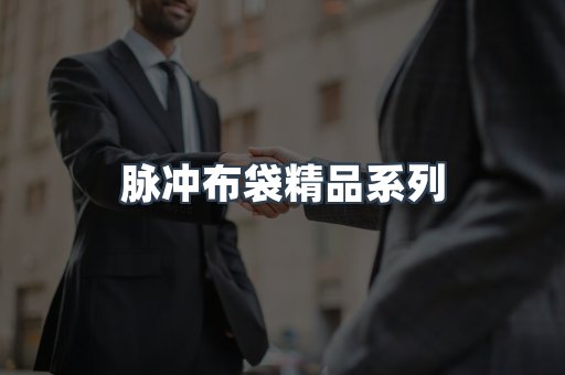 脉冲布袋精品系列